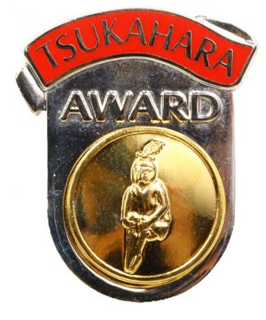Tsukahara Award pin