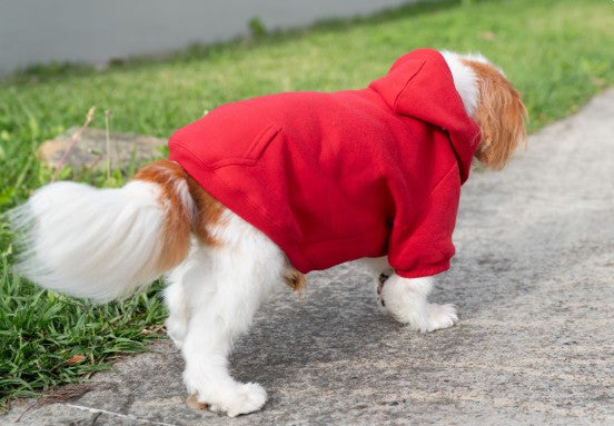 Your best friend's Dog Hoodie