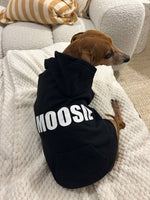 Your best friend's Dog Hoodie
