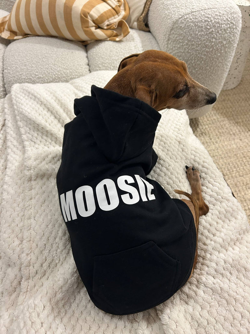 Your best friend's Dog Hoodie