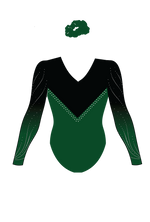 IN STOCK- Kelly Green & Black Long Sleeve Competition Leotard