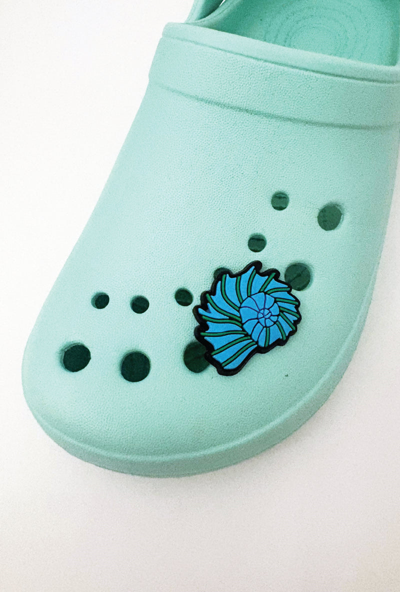 Blue Frill Shell -  Croc Jibbet