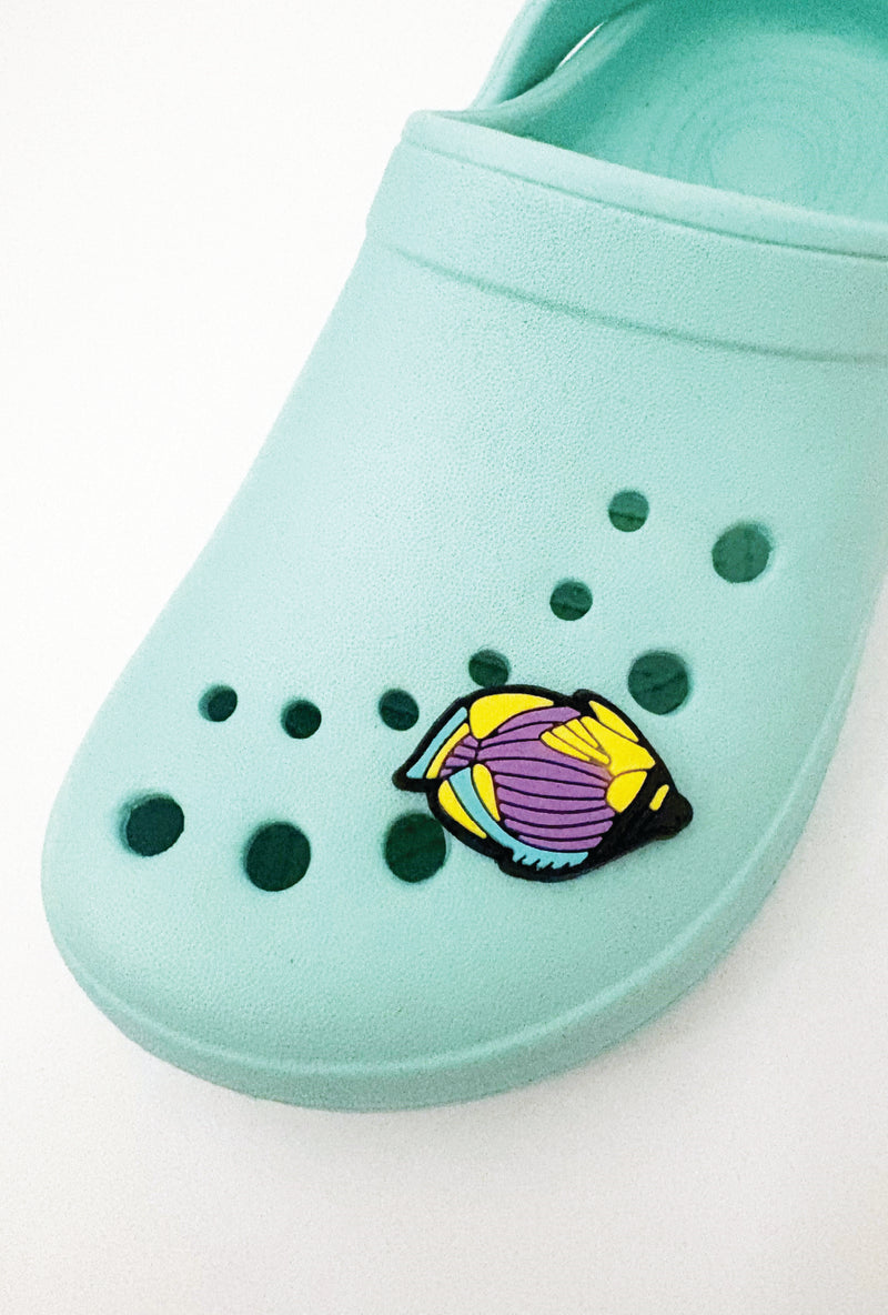 Tropical Fish-  Croc Jibbitz