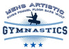 MAG - Men's Artistic Gymnastics Tee-White