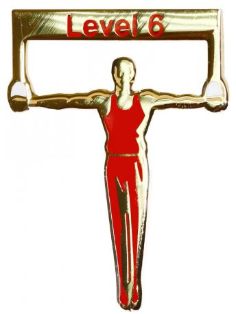 Men's Level 6 Gymnastics Pin