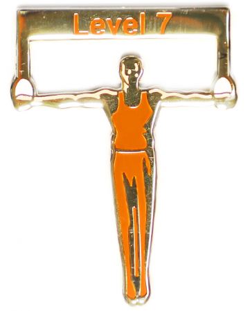 Men's Level 7 Gymnastics Pin