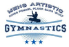 MAG -  Men's Artistic Gymnastics Tee- Grey