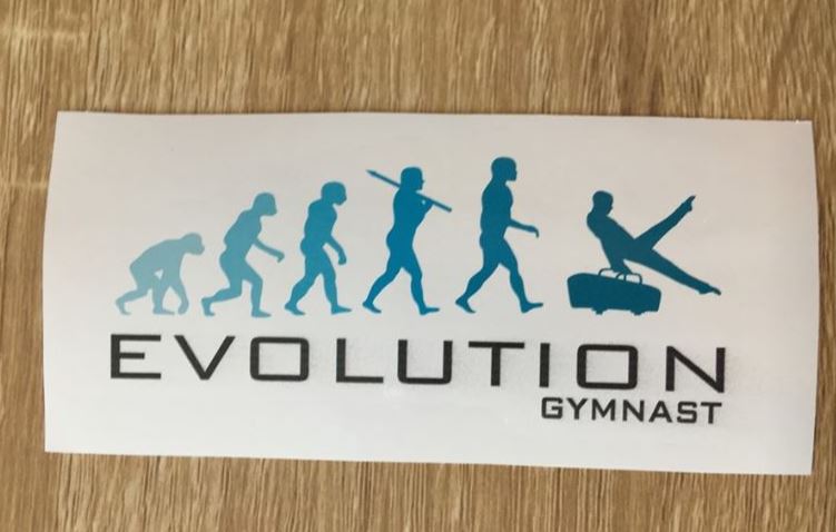 Sticker -  MAG - Evolution Gymnast