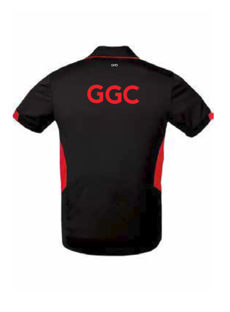 geraldton%20polo%201.PNG